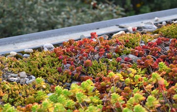 the cost of Lewcombe green roof installation