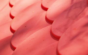 Lewcombe plastic roof costs