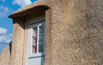 Lewcombe thatch roof disadvantages