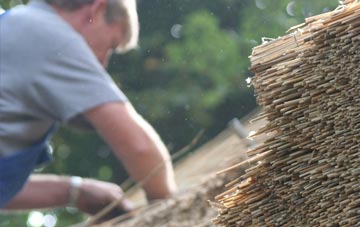 professional Lewcombe thatchers